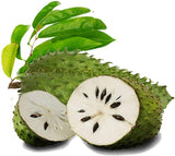 Agrovishwa Premium Organic Soursop Tea Bags Box | Natural Immunity Booster | Caffeine Free | 30 Tea Bags