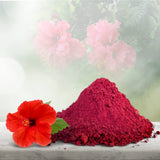 Agrovishwa Organic Hibiscus Powder | Anti-ageing |Skin Tightening | Glowing Face Brightening and Moisturizing Mask - 100g