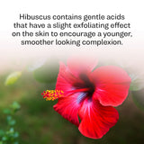 Agrovishwa Organic Hibiscus Powder | Anti-ageing |Skin Tightening | Glowing Face Brightening and Moisturizing Mask - 100g