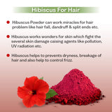 Agrovishwa Organic Hibiscus Powder | Anti-ageing |Skin Tightening | Glowing Face Brightening and Moisturizing Mask - 100g