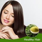 Agrovishwa Organic NEEM LEAVES Powder |Premium Quality | Chemical Free Hair & Skin Cleanser | Resealable Pouch (100g)