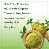 Agrovishwa 100% Organic Indigo Powder chemical free, ammonia free| Hair Color for hair | Whole Plant Used-100gm