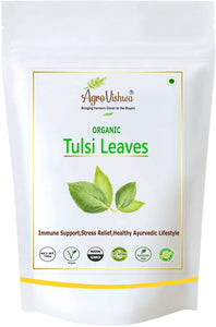 Agrovishwa Pure Tulsi Leaves | Premium Quality | Immunity Support, Rich with Anti-oxidant| Healthy Ayurvedic Lifestyle| 100 gm