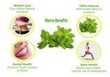 Agrovishwa 100% Pure Stevia Leaves"Introductory Offer"| Natural Sugar-Free Sweetener | For Healthy Diabetic Lifestyle | (Stevia Leaves - 100g)
